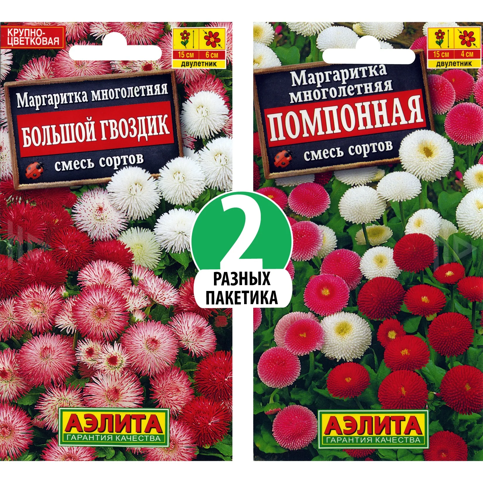 Маргаритка Большой гвоздик махровая, смесь сортов